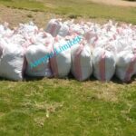 Zimbabwe grass lawn - lush green natural grass