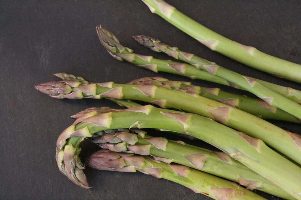 Asparagus Seedlings Asepsis Limited