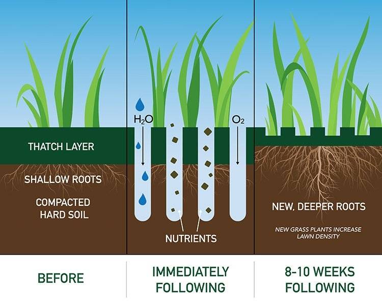 Aeration lawn aeration process