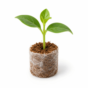 25mm Cocopeat Propagation Plug