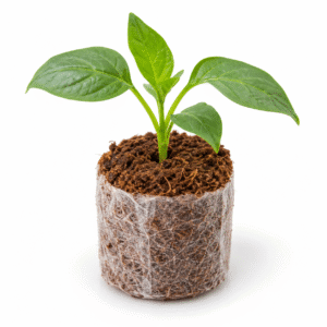 40mm Cocopeat Propagation Plug